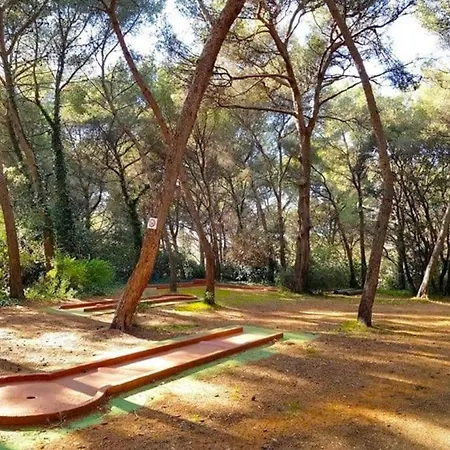 T2 - Coudouliere - Piscine - Wifi - Parking Six-Fours-les-Plages